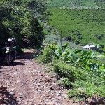 Mai Chau dirt bike tours