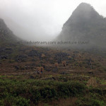 Dong Van Geo Park motorbike tours